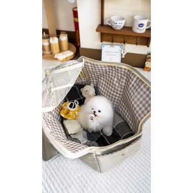 화이트포메라니안 [White Pomeranian]