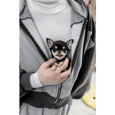 단모치와와 [Chihuahua]