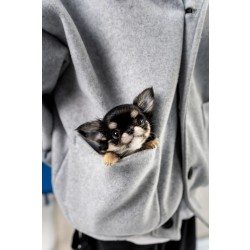 장모치와와 [Chihuahua]