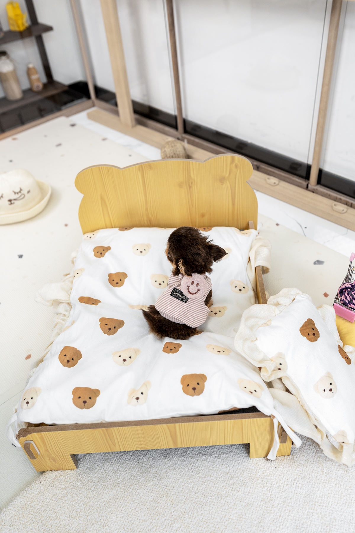 장모치와와 [Chihuahua]