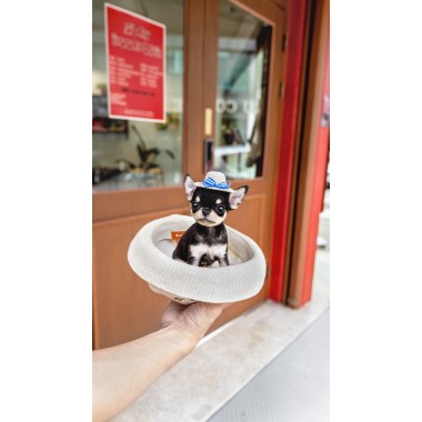 단모치와와 [Chihuahua]