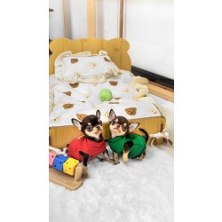 단모치와와 [Chihuahua]